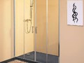 Стеклянная дверь для душевой (200 х 180 см)
